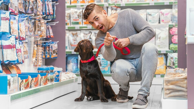 Vantagens de planos de fidelidade em pet shops bem avaliados